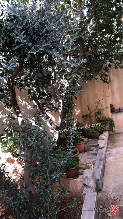 منزل مساحة 162م على أرض 320م للبيع في عمان - ابو نصير خلف مسجد حليمة الريان