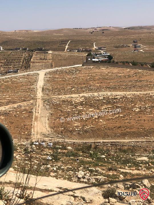 ارض مساحة 4 دونم للبيع في المفرق - بلعما - عين والمعمرية 