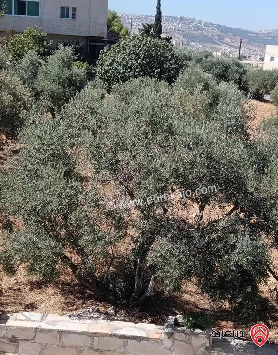 قطعة ارض مساحة 1 دونم للبيع في عمان - ابو نصير 