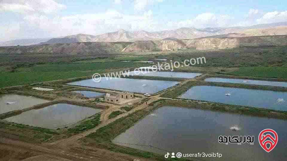 مزرعة سمك مساحة الأرض 72 دونم للبيع في الغور - دير علا 
