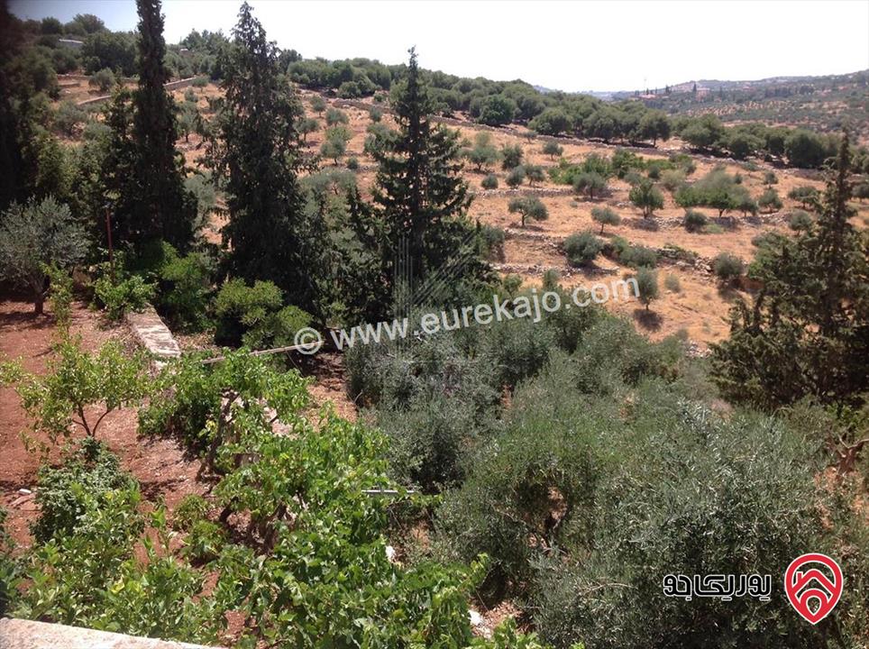 مزرعة مساحة الأرض 10 دونم والبناء 600م للبيع في السلط - أم جوزة