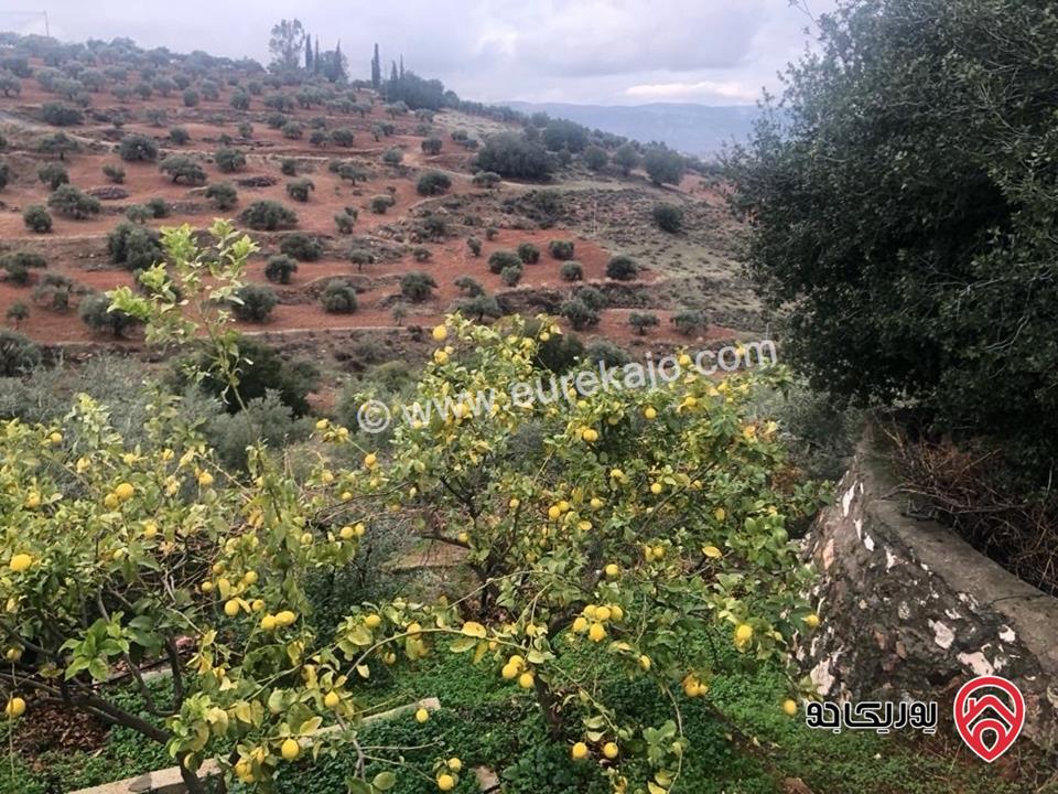 مزرعة زيتون مساحة الأرض 8 دونم و 588م و البناء مساحة 100م للبيع في السلط