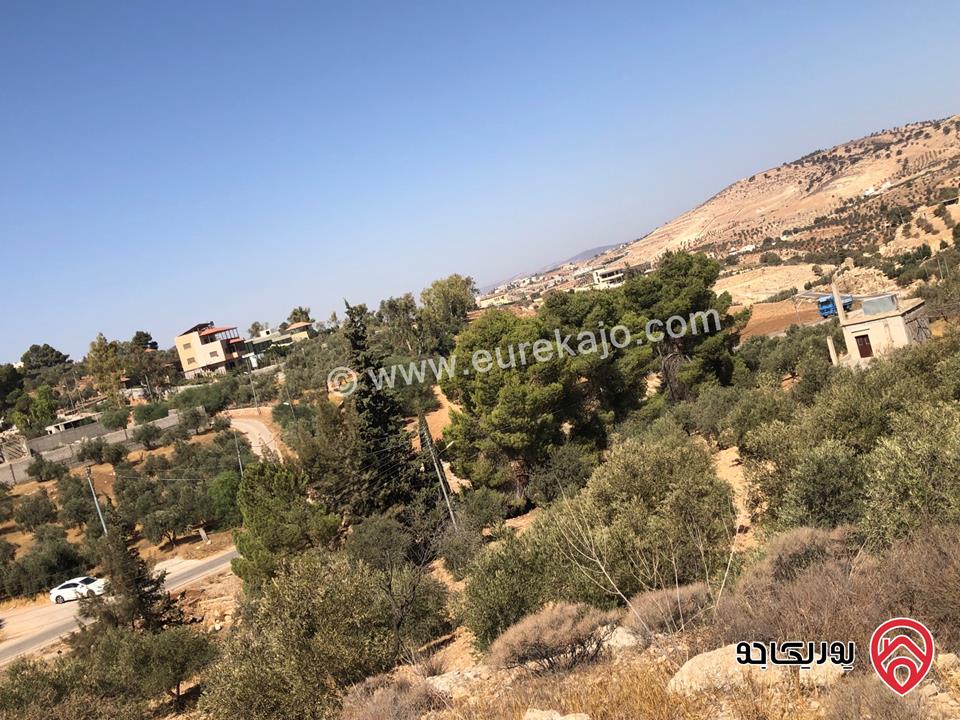 قطعة ارض مساحة 6 دونم و 500م للبيع كاملة او جزء منها في الزرقاء - الكمشة حوض البيرة 