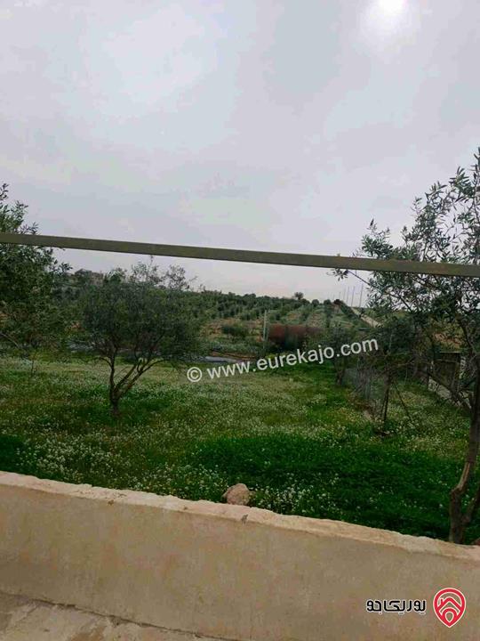 أرض للبيع في عمان - الجيزة مساحة 750 م سكن ب