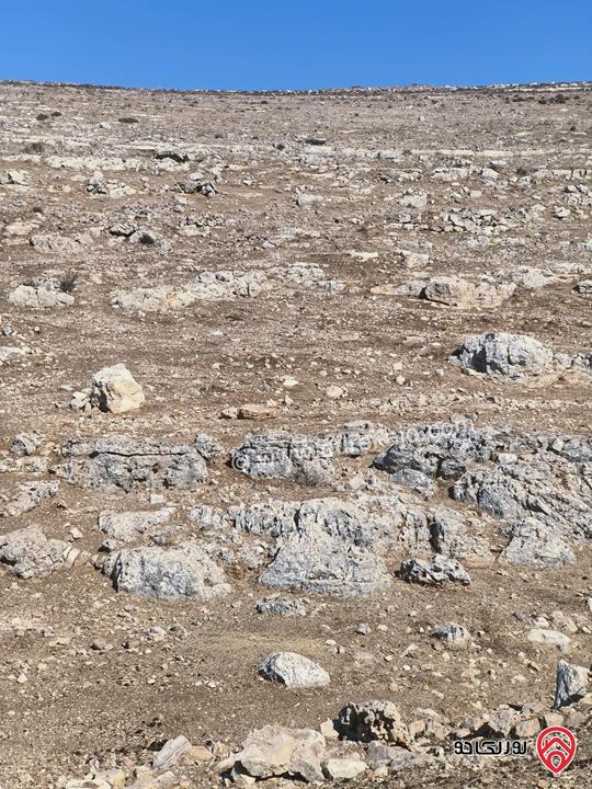 قطعة أرض مساحة 6 دونم و 172م للبيع في إربد لواء المزار الشمالي قرية صمد