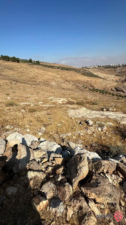أرض استثمارية مساحة 4 دونم للبيع على حد التنظيم في اربد - ناطفة المقورة اسكان المهندسين