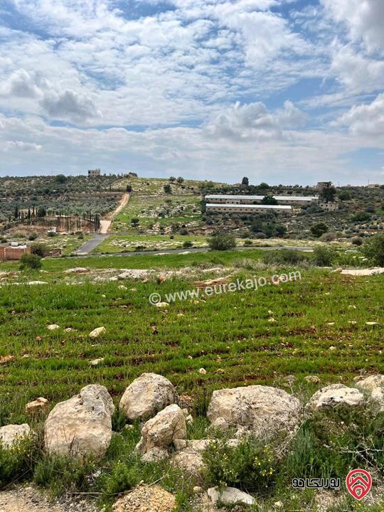 أرض للبيع في غرب عمان - منطقة بدر الجديدة  حوض الحكر البصه مساحة 602م