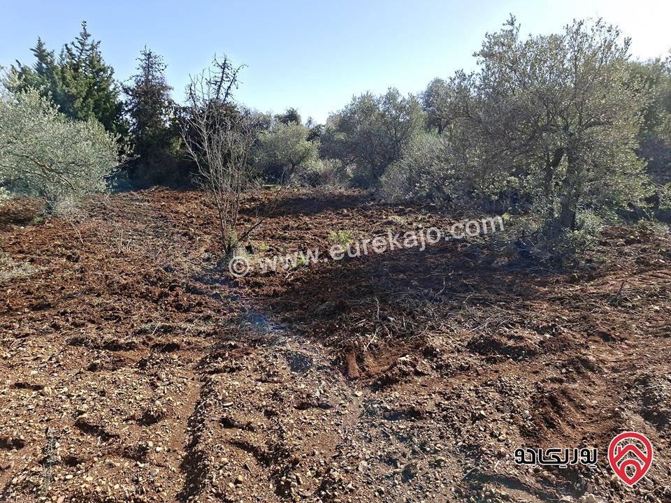 قطعة أرض مساحة 1 دونم للبيع في السلط - سوادة الشمالي