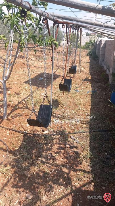 قطعة أرض مساحة 1 دونم تصنيف أ يوجد فيها بيت ريفي و 80 شجرة للبيع في المفرق - رحاب