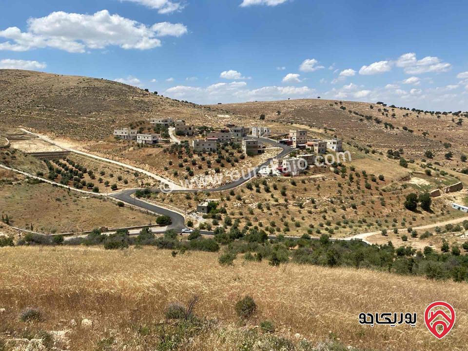 أرض مساحة 8 دونم للبيع في الزرقاء - بيرين