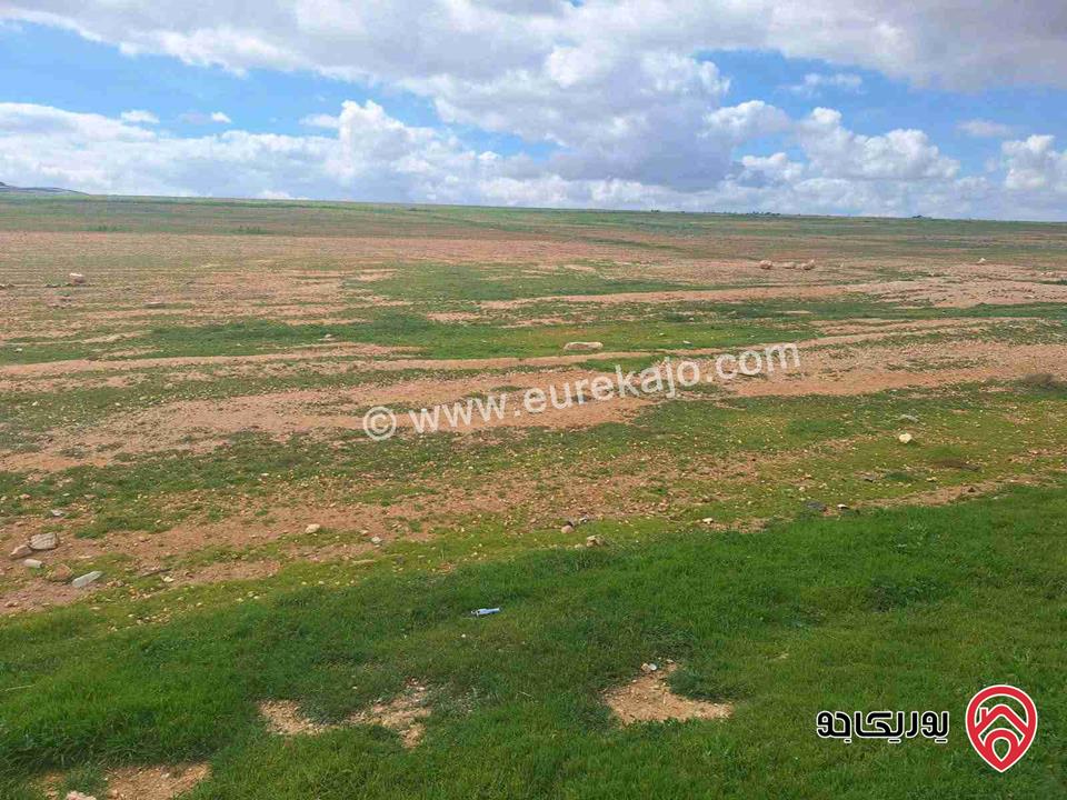 قطعة أرض مساحة 13 دونم و 500م للبيع في المفرق - حوض المنيفة