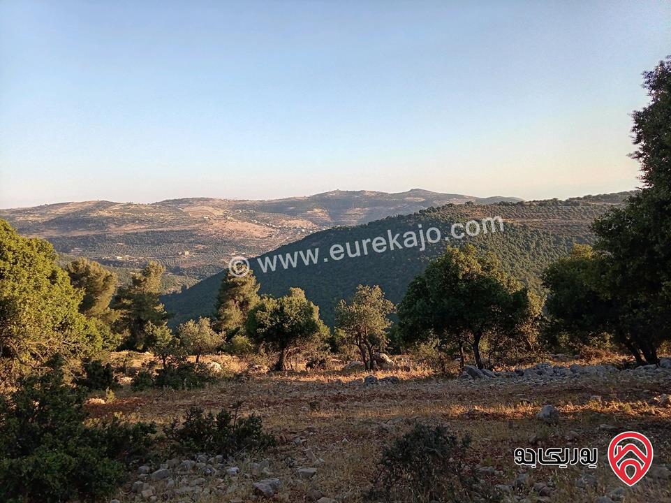 أرض مميزة مساحة 2 دونم للبيع في محافظة عجلون منطقة عنجرة / خربة الحنيش الأثرية 