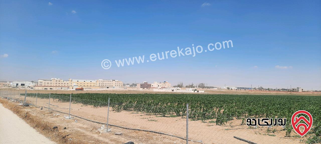 ارض مساحة 850م للبيع في عمان - الجيزة صناعات خفيفة قرب مبنى البلدية الجديد 