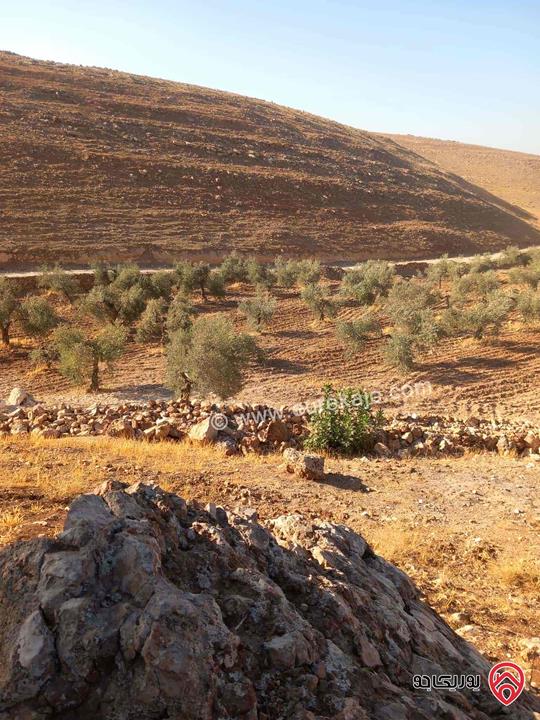 قطعة ارض مساحة 19 دونم و 195م للبيع من أراضي جرش قفقفا