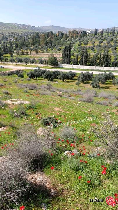 قطعة أرض مساحة 5 دونم و 25م للبيع في المفرق - دحل