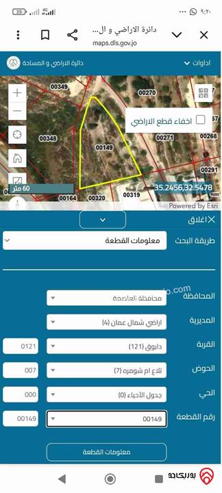 أرض مساحة 2 دونم و 700م للبيع في عمان - دابوق