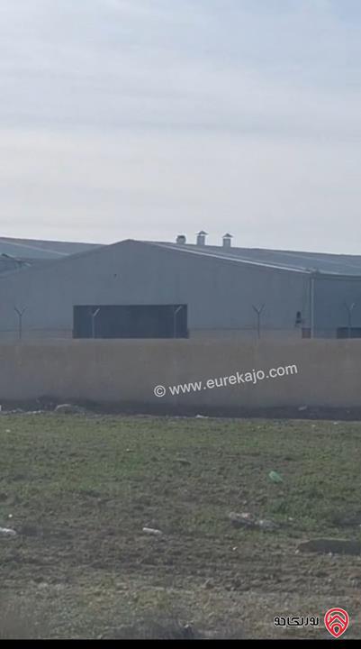 ارض خارج التنظيم مساحة 10 دونم للبيع في جنوب عمان - زينب الرواق