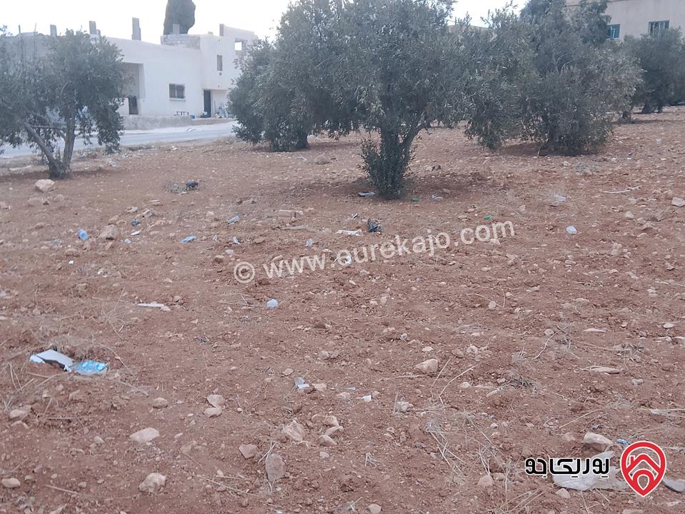 ارض للبيع مساحة الأرض 942م في المفرق - بلعما داخل التنظيم    