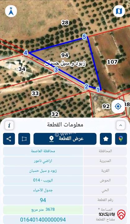 أراضي مساحة 3700م للبيع في عمان - ناعور حسبان مزروعة زيتون