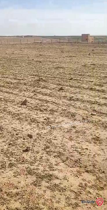 ارض خارج التنظيم مساحة 10 دونم للبيع في جنوب عمان - زينب الرواق