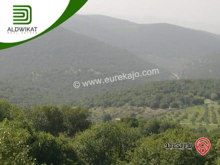 ارض مساحة 600 م للبيع في عمان - بدر الجديدة موقع مميز
