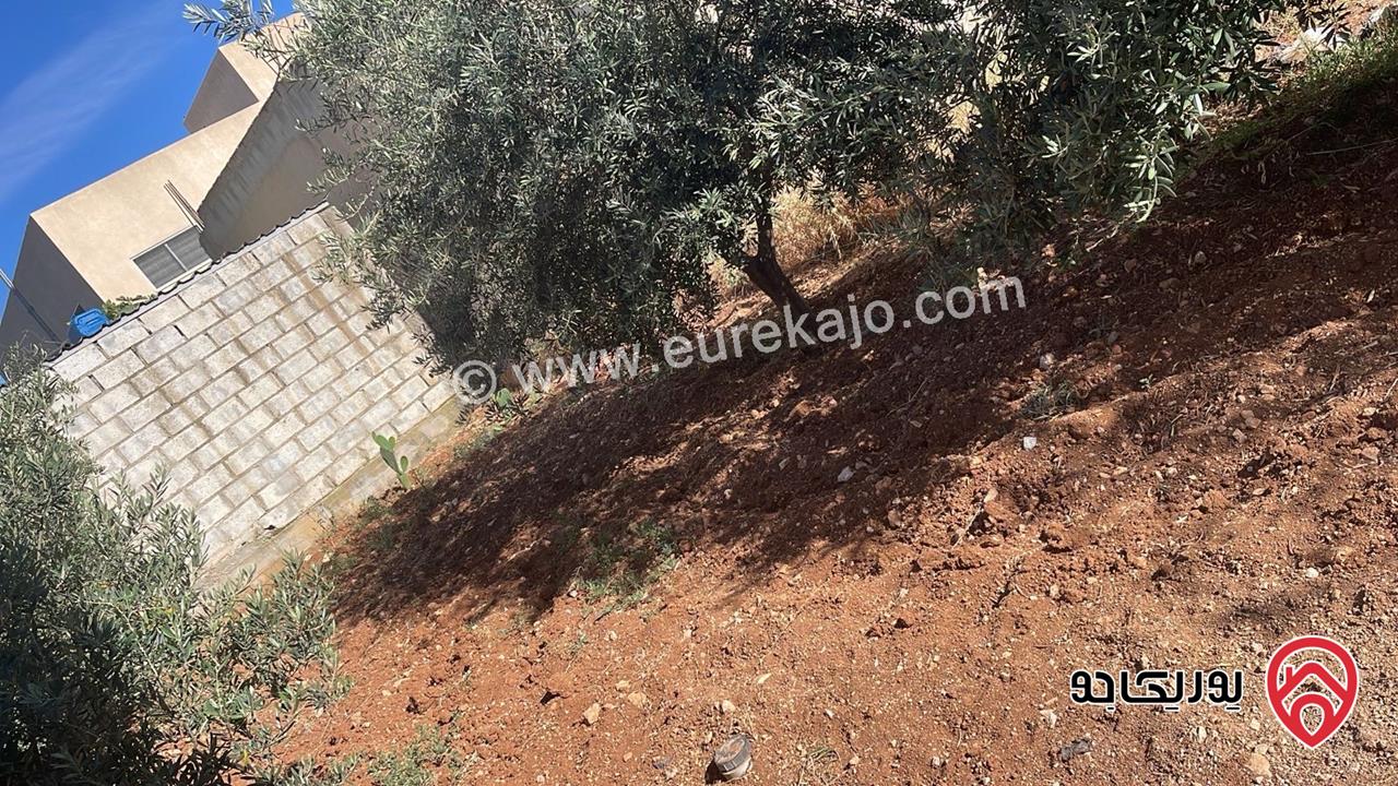 منزل مستقل مساحة 430م على أرض 1 دونم مفروز بناء جديد تشطيبات حديثه بئر ماء ملحق تسويه وعمدان مسطح 180 متر قيد التجهيز للبيع في الرمثا - الطرة