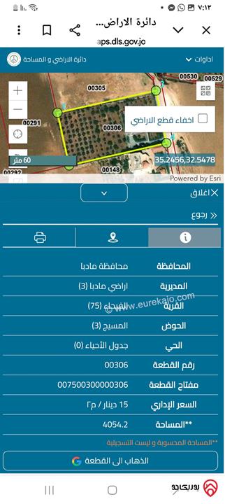 مزرعة مساحة الأرض 4 دونم عليها فيلا طابقين 800م للبيع في مادبا - الفيحاء