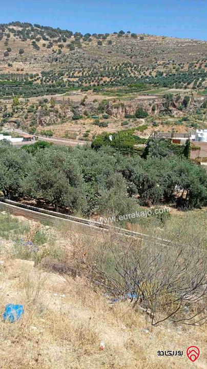 أرض زراعية مساحة 3 دونم و 644م للبيع في عمان - مرج الحمام البحاث 