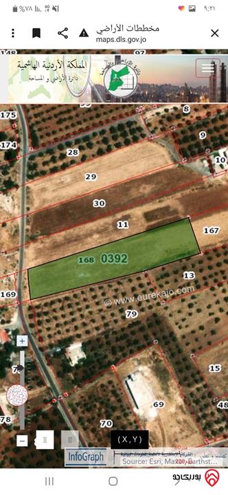 قطعة أرض مساحة 5 دونم للبيع في السلط - أم زيتونة