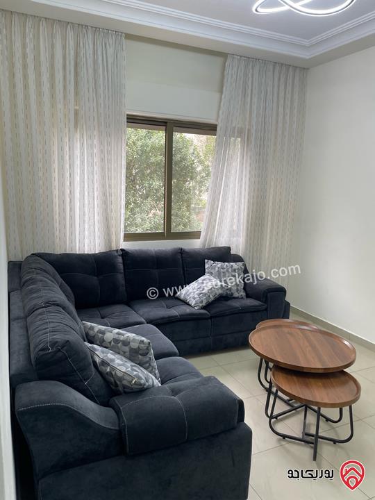 Cozy furnished two bedroom apartment of 100 sqm for rent in Amman - Abdoun