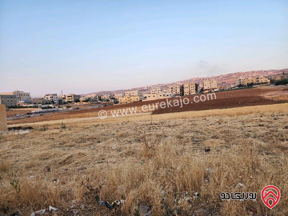 قطعة أرض سكنية مساحة 520م للبيع في عين الباشا حي المضمار