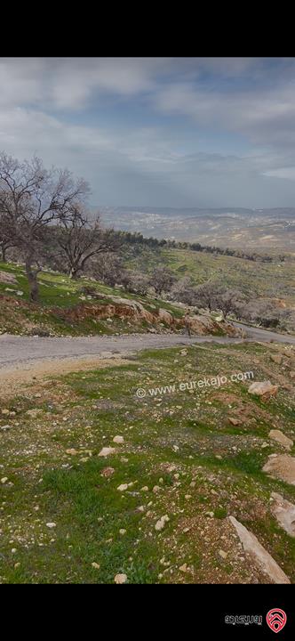 ارض مساحة 3 دونم و 750م للبيع في الزرقاء - العالوك