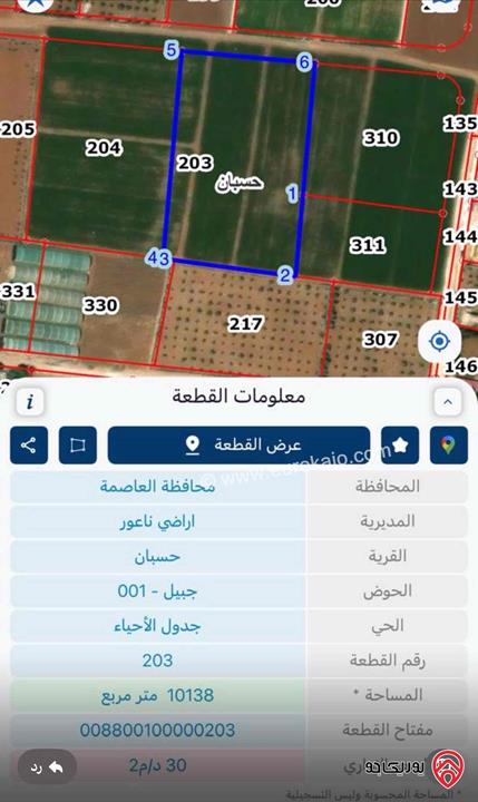 قطعة ارض مساحة 10 دونم و 131م للبيع في عمان - ناعور