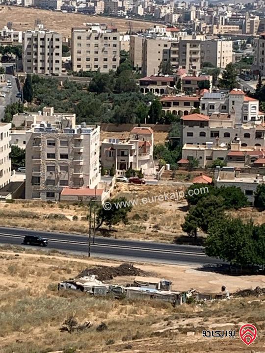 فيلا مساحة 750م على أرض 8114م للبيع بسعر مغري جداً في عمان - الجبيهة، حوض المقرن