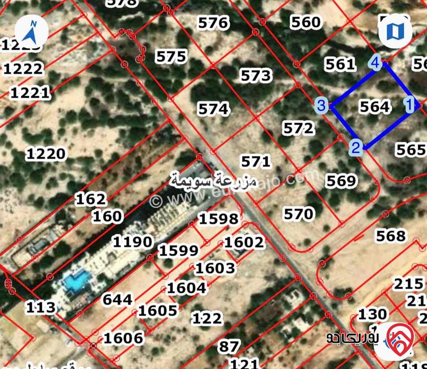 قطعة أرض مساحة 4 دونم و 105م للبيع في البحر الميت - السويمة