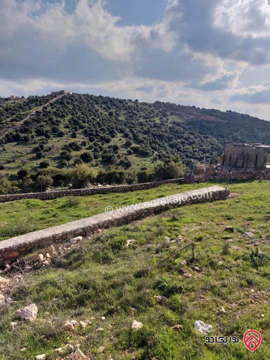 ارض سكنية مساحة 1 دونم و 260م للبيع أو للمبادلة في عجلون راس منيف موقع رائع