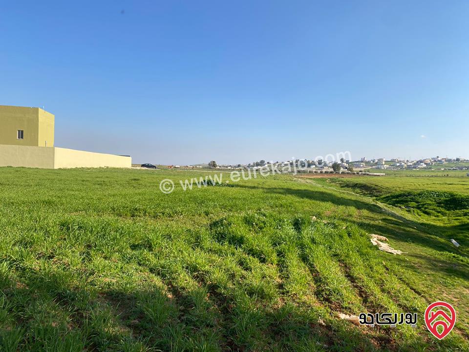 مزرعة مساحة الأرض 3427م والبناء 155م للبيع في المفرق - بلعما	