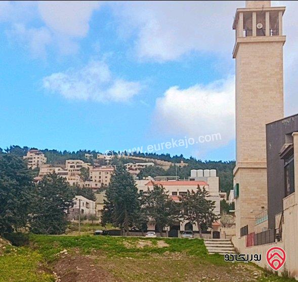 قطعة ارض مساحة 930م للبيع في عمان - الحمر حوض الاميرة عالية