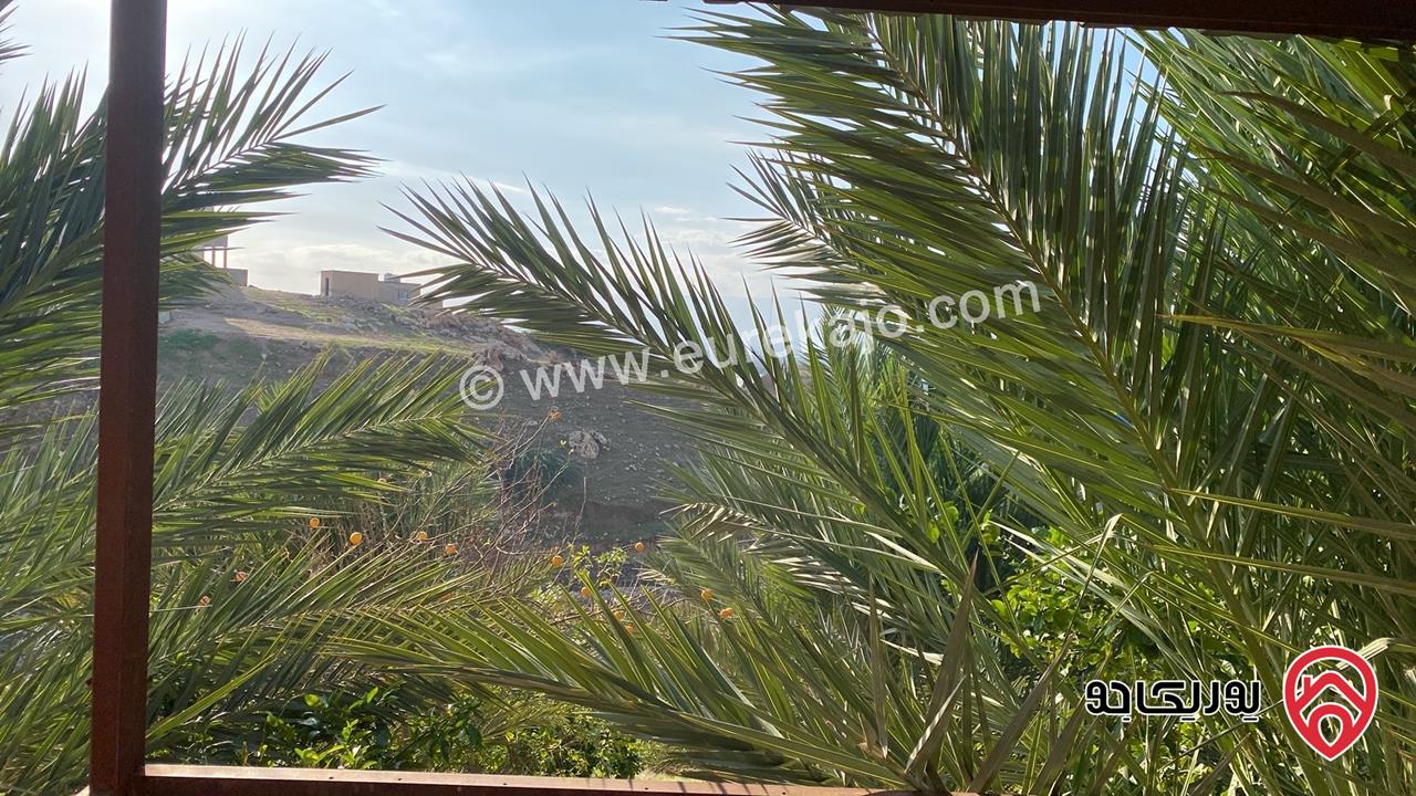 مزرعة و شاليه مساحة 480م وبناء 90م للبيع في البلقاء - دير علا ظهرة الرمل