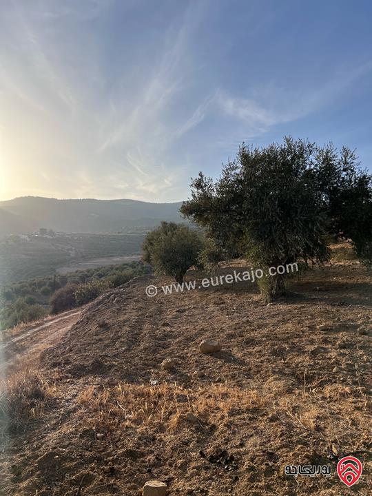 مزرعة مساحة الأرض 6 دونم و 500م للبيع في جرش منطقة جمله قريبة من محمية دبين اطلاله جميلة جداً وسعر حرق وربنا يبارك لصاحب النصيب