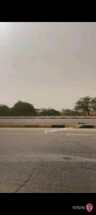 ارض استثمارية مساحة 7 دونم للبيع في البحر الميت