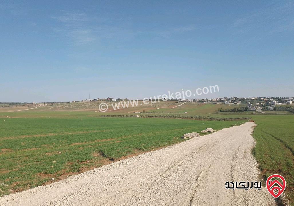 قطعة أرض مساحة 5300م زراعية مميزة واصل الخدمات للبيع في مادبا - ماعين غرابيات ام راسين 