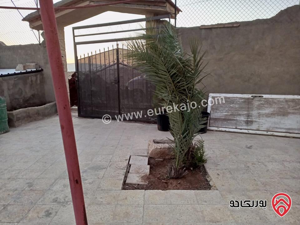 مزرعة مساحة البناء 75م على أرض 391م للبيع في البحر الميت بمنطقة الكرامة بسعر مناسب