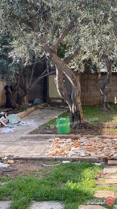 قطعة أرض مميزة ع شارعين مساحة 530م واجهة عريضة للبيع في عمان - اليادودة