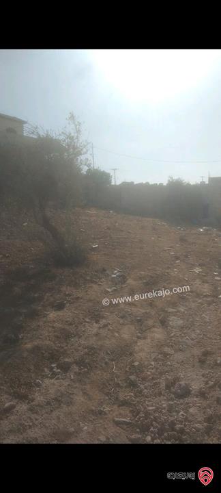 قطعة ارض مساحة 511م للبيع في عمان - منطقة البيضاء حوض الحميدين 