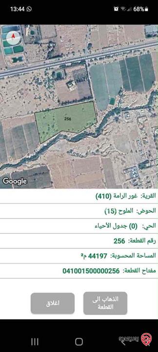 قطعة ارض مساحة 44 دونم للبيع في البحر الميت - الرامة 