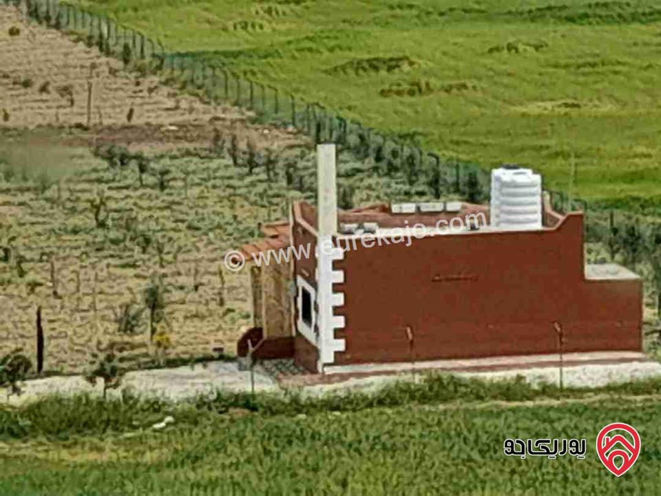 مزرعة مساحة 4 دونم للبيع في المفرق - بلعما 