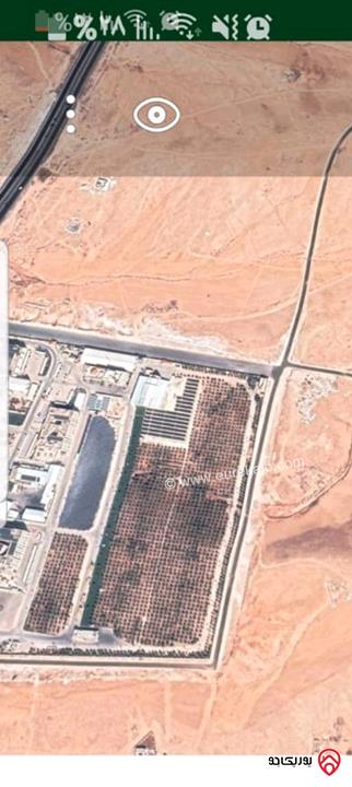 أرض مساحة 500م سكن ج للبيع في الزرقاء - الغرباوي حوض الجامعة