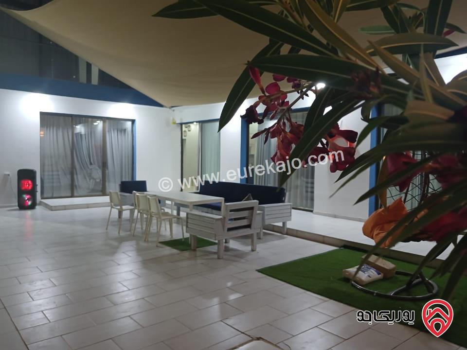 شاليه سيلينا للايجار اليومي في البحر الميت - الرامة