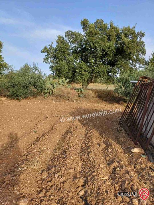 مزرعة مساحة 14 دونم للبيع في اربد - أراضي بني كنانة منطقة سمر